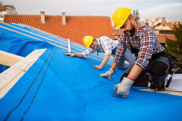 Professional Roofing Contractor in New Ellenton, SC